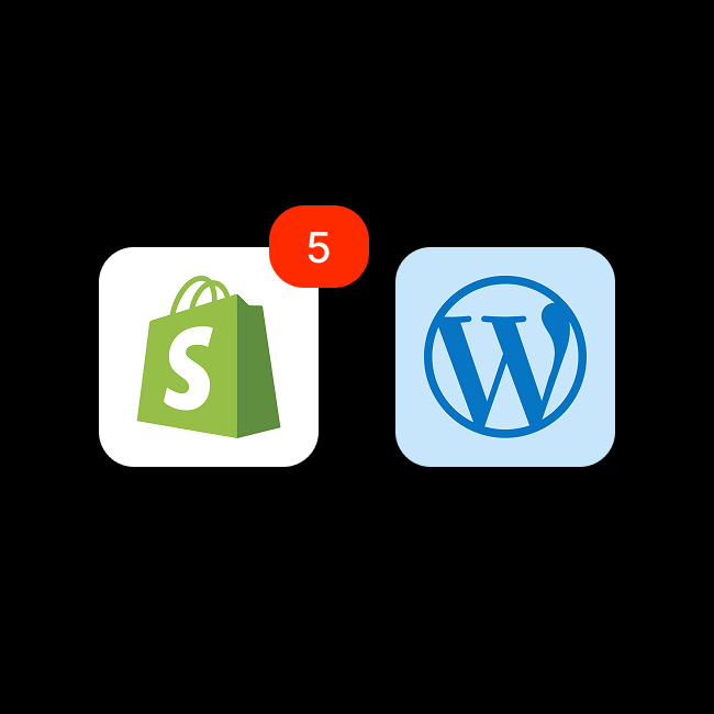 wordpress-shopify-server-hosting.jpg